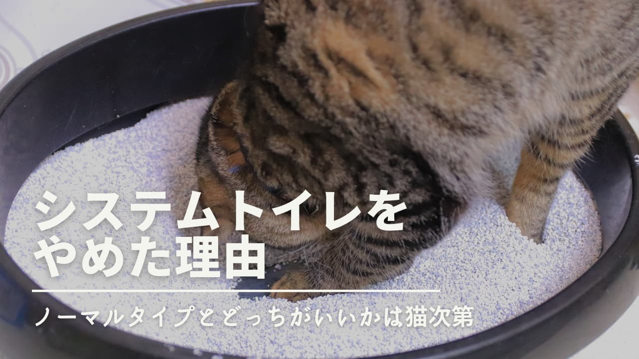 システムトイレをやめた理由｜ノーマルタイプとどっちがいいかは猫次第