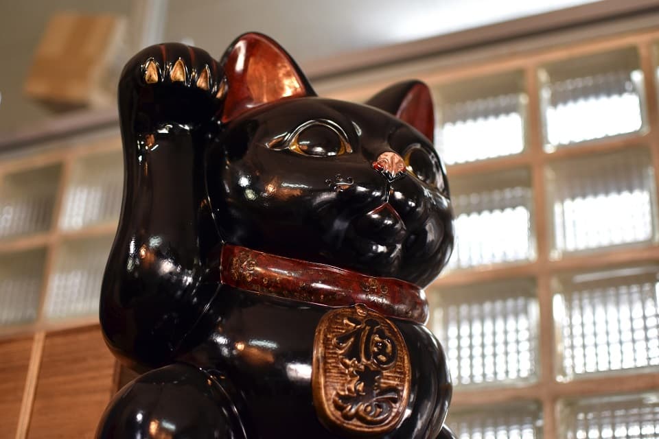 黒猫は「福猫」?日本文化における幸運の象徴