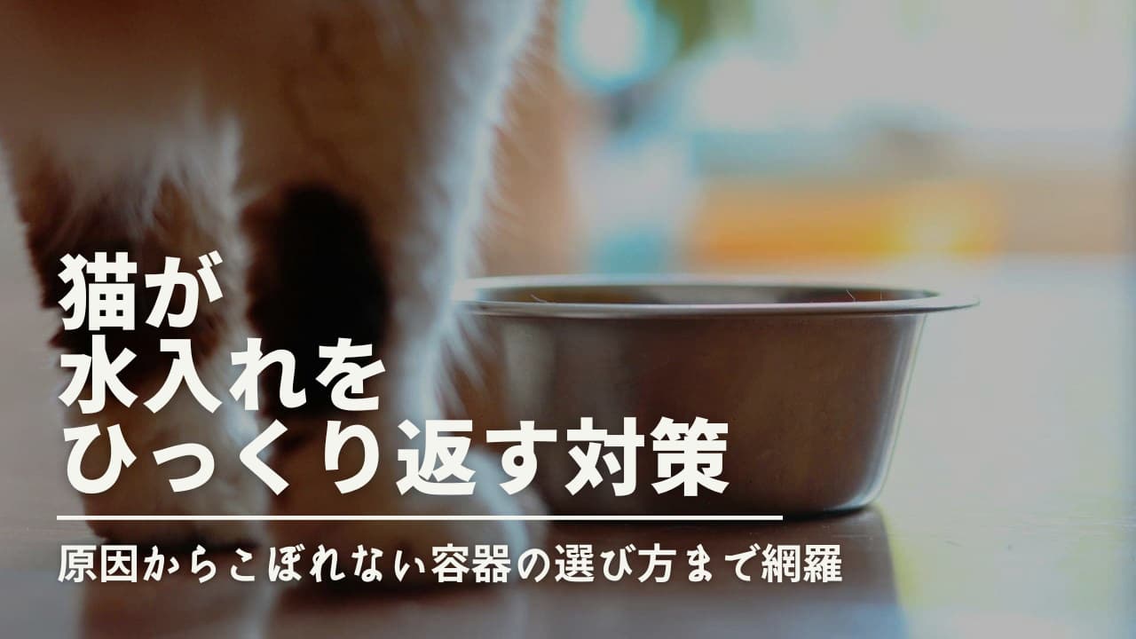 猫が水入れをひっくり返す対策｜原因からこぼれない容器の選び方まで網羅