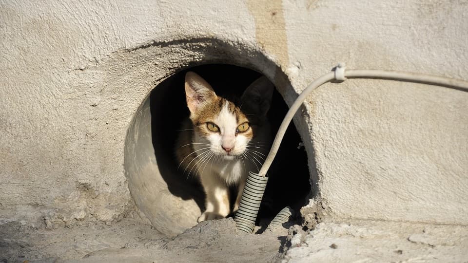 å察é¢ã®éè¯ç«ãã¬ã³èŠããŠããçç±