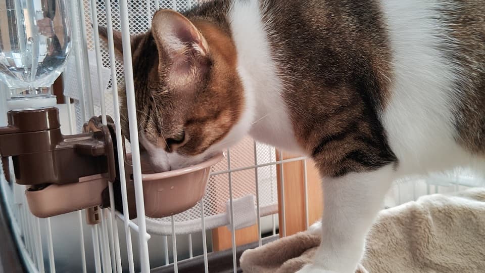究極の対策!容器を固定して物理的に動かせなくする